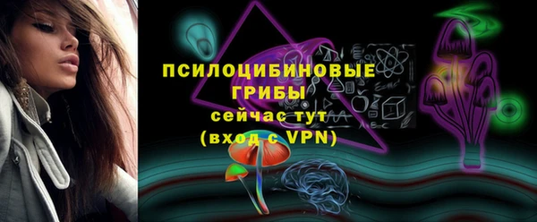 синтетический гашиш Заводоуковск