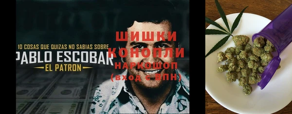 синтетический гашиш Заводоуковск