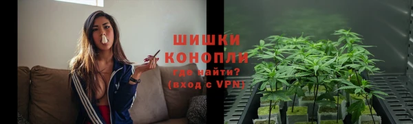 гидра Заволжье
