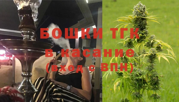 синтетический гашиш Заводоуковск