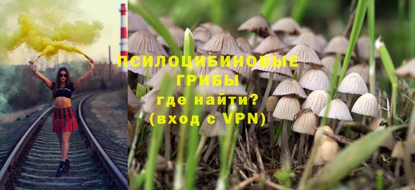 синтетический гашиш Заводоуковск