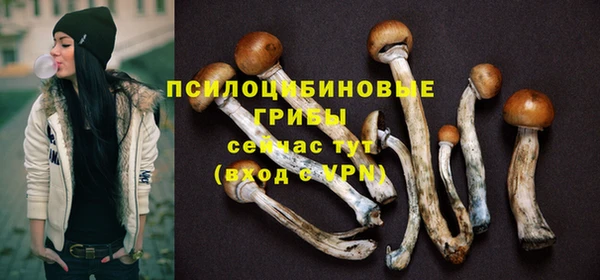герыч Елабуга